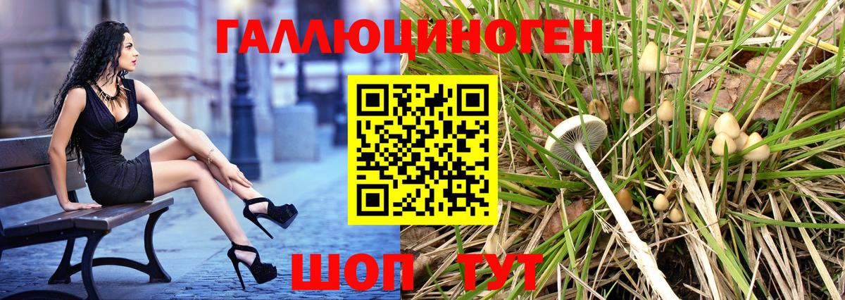 Лениногорск  Псилоцибиновые грибы Psilocybine cubensis  Вход с VPN 