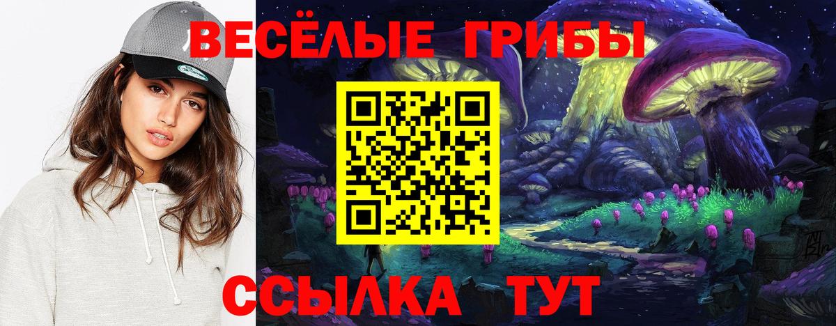 Галлюциногенные грибы Cubensis Лениногорск